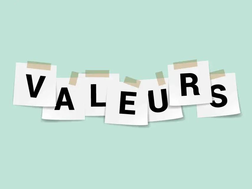 Valeurs AVG-TP SARL